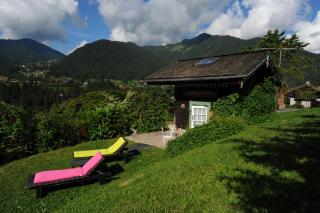 Micro-lodge, Le Petit Nid d'Amour - Montriond - 3