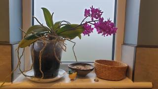 15 Kershaw Crescent - 2