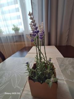 ,,Arts Home,, ,ZAPRASZAM BEZPŁATNY PARKING,Blisko Centrum Zdrowia dziecka,centrum kardiologii,centrum szkoleniowe,trasa na Lublin,Ukrainę,mieszkanie przestronne,czyste,spokojna okolica,blisko Aldi,Lidl,Żabka,Rossmann,pkp, ztm - 4