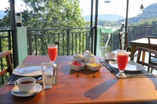 Ivory Canopy Resort - Ella - 7