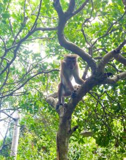 Sea Face Unawatuna- Sunset Retreat Room SeaFace-05 - 7