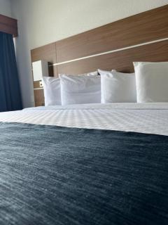 Hotel L'Oie des neiges - 7