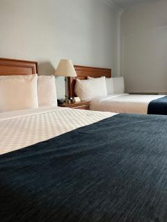 Hotel L'Oie des neiges - 5