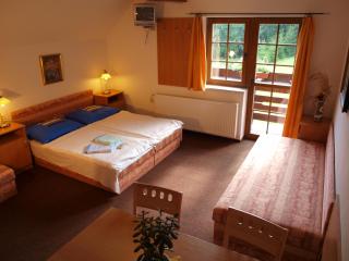 Apartmány Vlasta - Paseky nad Jizerou - 6