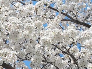 Badagaboineun Pension - 9