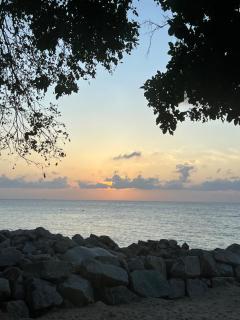 Coral Reef Holidays - 1