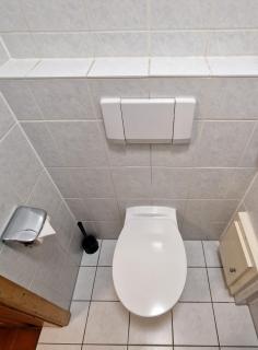 Schöne 2-Zimmer Wohnung mitten in Langenzenn - 5