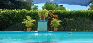 Casa Montpellier - 1