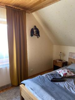 Holiday house with landscape garden - 4