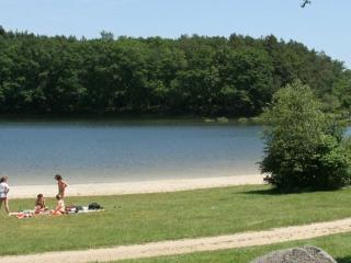 Mobil-home 27m² à Saint-Gérons avec terrasse - API-1-52-1316 - 2