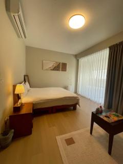 閒間 日月潭10人包棟 室內停車場免費電動車充電 - 7