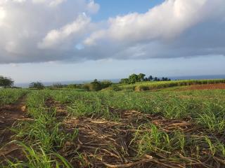 L'Aurielle, Tout le confort à 500m de la plage - 6