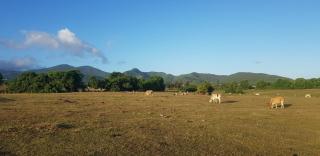 L'Aurielle, Tout le confort à 500m de la plage - 9