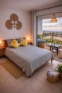 Cyprus Sunflower - 0