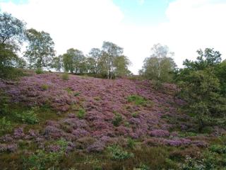 8 person holiday home in Gjern-By Traum - 4