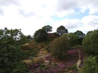 8 person holiday home in Gjern-By Traum - 8