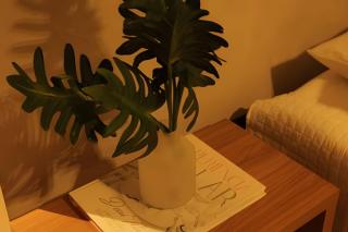 Condominio Uhane Luxury Villas - 4