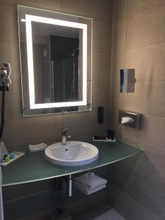 Hôtel Saphir Lyon - Lione - 9