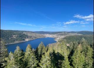 Chalet Le Flocon Bleu - Mauselaine avec vue sur le Lac de Gérardmer - Gérardmer - 4