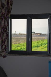 B & B Foresta Vini - 3