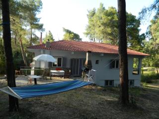 Forest & Sea Escape - 9