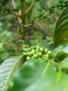 Entrecafe Experience - 3