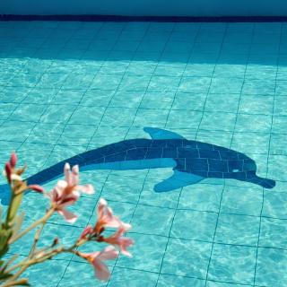 Villa avec piscine privée, personnel, cuisinier, plage, jardin - 1