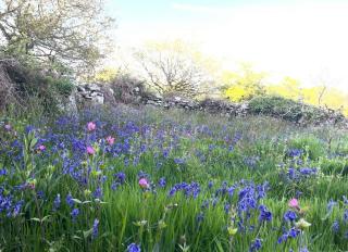 Tresahor Studio with sauna - 8