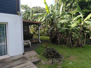 Studio dans la forêt tropicale - 9