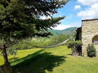 Campagne en Haute Provence - 0