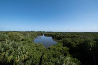 Nature's Landing C302 Pool and Amazing Water View! - 0