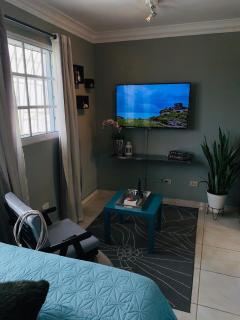 Independent, central studio Apt3-A - 1