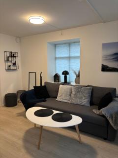 Modern Apt - Steps from Grieghallen and Trainstation - 8