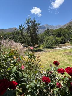 Casa de campo Fresia - 8