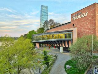 Special TOP LUX 22 Apartment, Altstadt Kleinbasel 10-STAR - 4