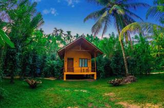 Walawa Wild Place - 8