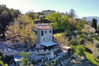 Antico Leccio Green - 0