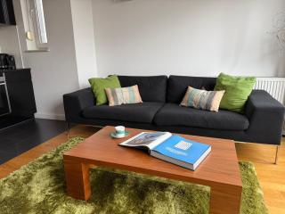 Apartament Sztuki Piękne z bezpłatnym garażem - 1