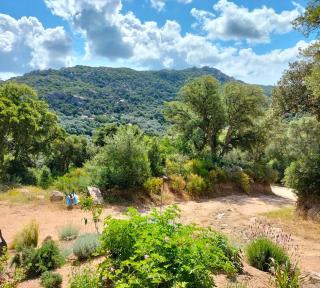 incore di u maquis corsu - 7