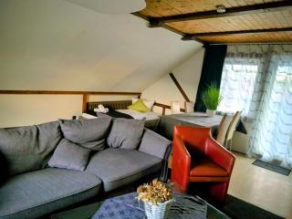 Penthouse mit 4 Zimmern, 10 Betten, Bad, WC, Küche und Terrasse - Karlsbad - 0