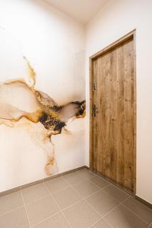 Kamienica przy kinie, parking & balkon-Blisko MTP - 8