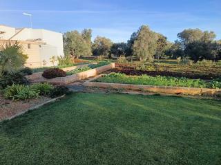 CASA JANE Appartamento in villa - 6