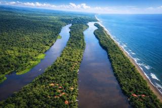 Ilan Ilan Tortuguero - 9