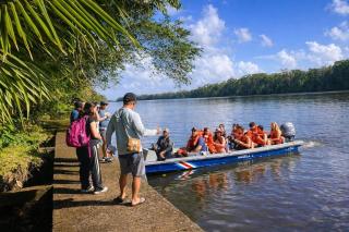 Ilan Ilan Tortuguero - 7