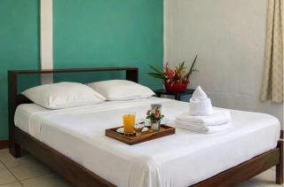 Ilan Ilan Tortuguero - 6