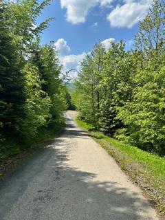 BESKIDIUM - uroczy dom Brenna - Brenna - 7