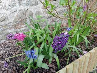 Jolie maison en pierres avec son jardin bucolique - 7