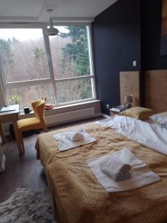 Apartament w Kozubniku - 4