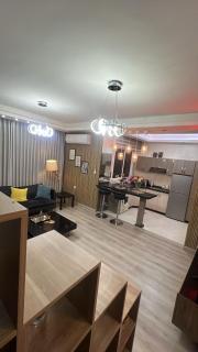 Luxurious one bedroom apartment - 0