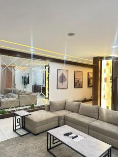Newly launched two bedroom penthouse - 4